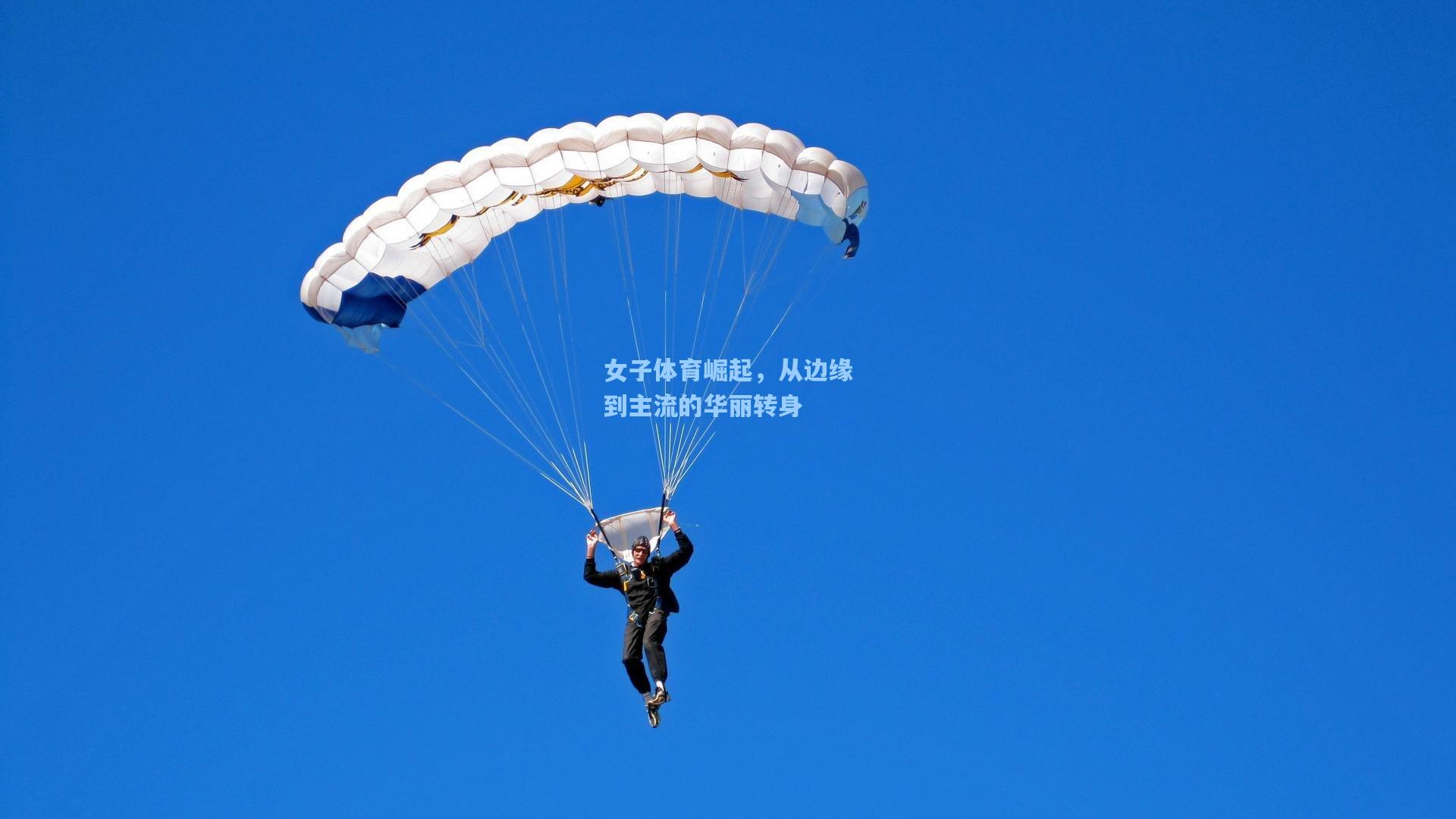女子体育崛起，从边缘到主流的华丽转身